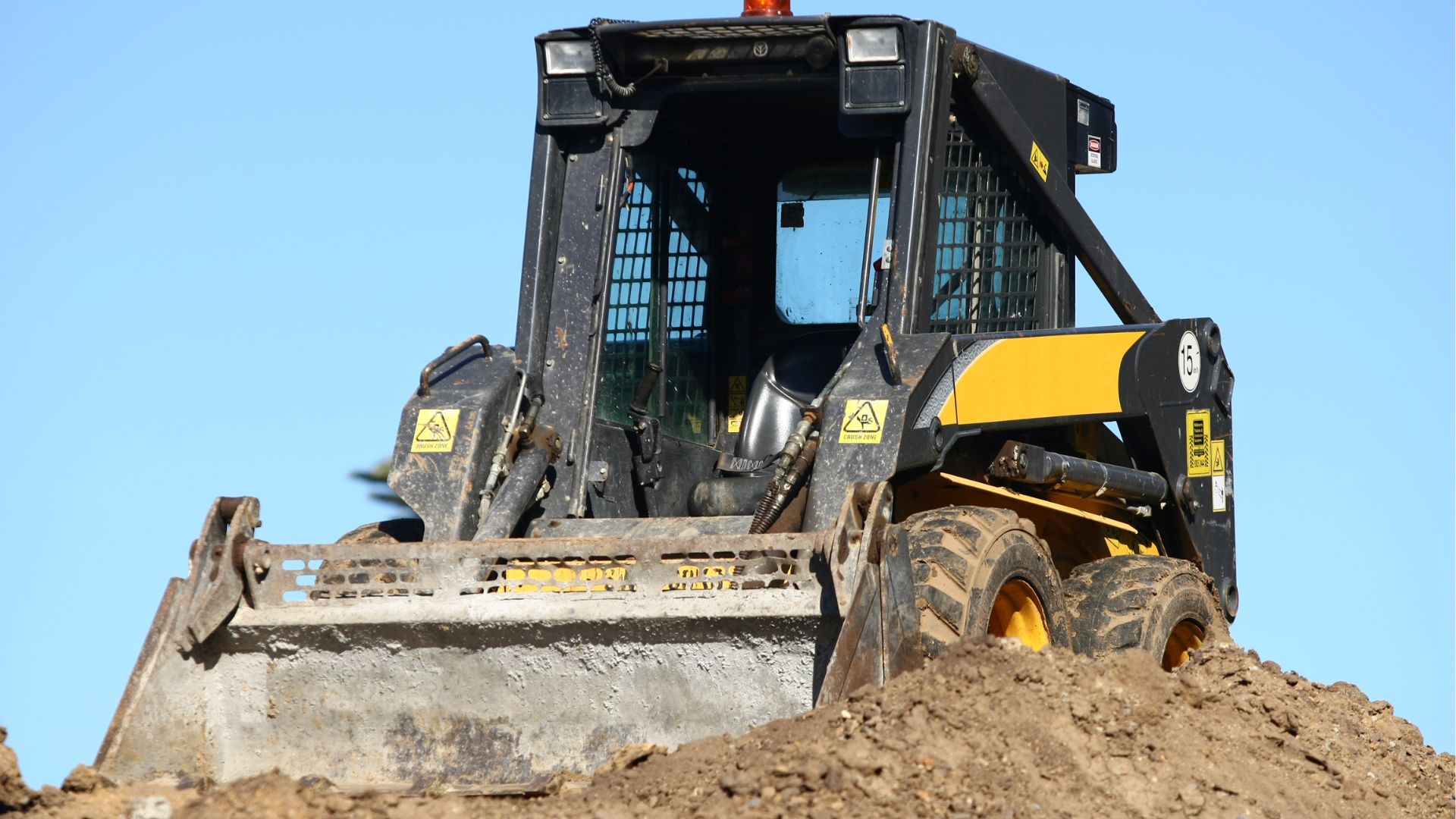 bobcat on a mound of dirt