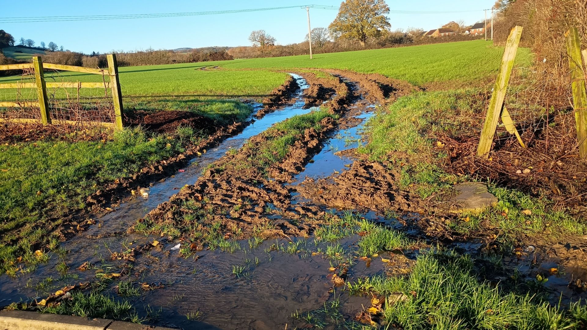 bogged ground